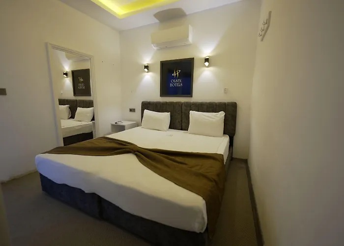 Olsen Hotel *